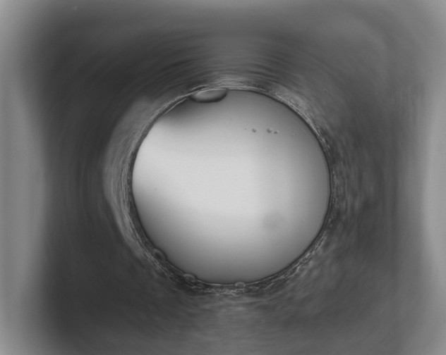 X0000102000289200807251251