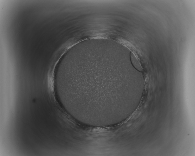 X0000102000290200807251251