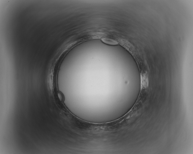 X0000102000291200807251251