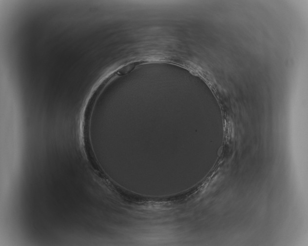 X0000102000292200807251251