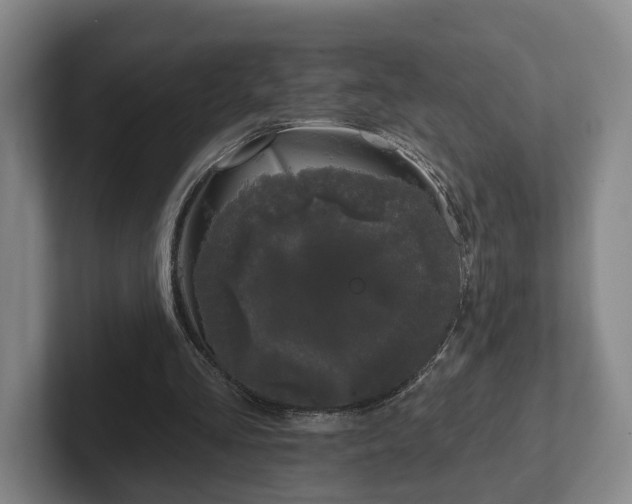 X0000102000293200807251251