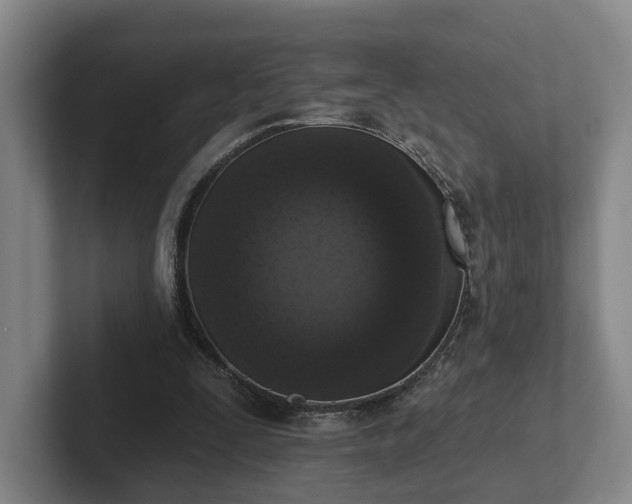 X0000102000295200807251251