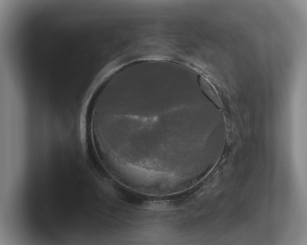 X0000102000296200807251251