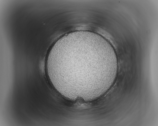 X0000102000297200807251251