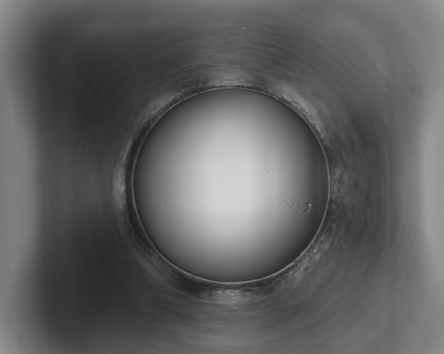 X0000102000298200807251251