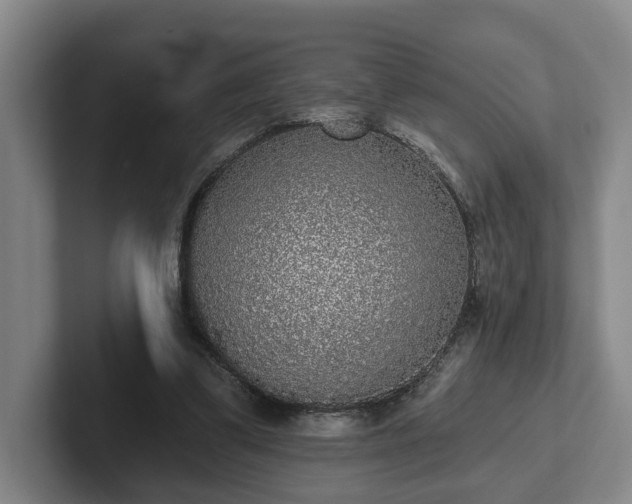 X0000102000299200807251251