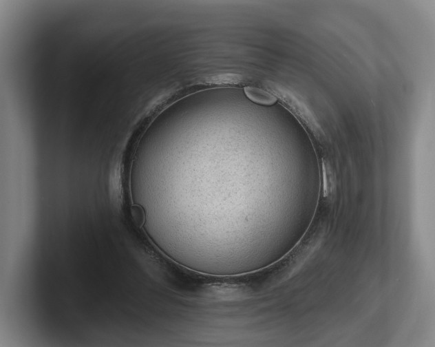 X0000102000300200807251251