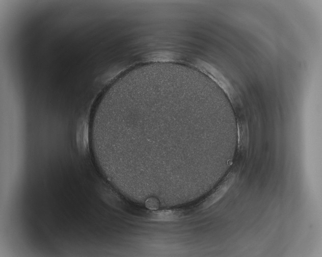 X0000102000301200807251251