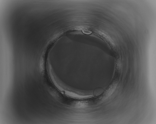 X0000102000303200807251251