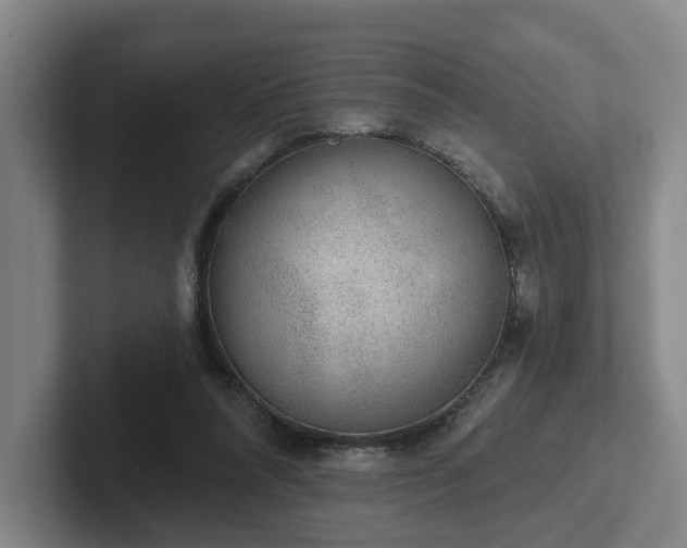 X0000102000304200807251251