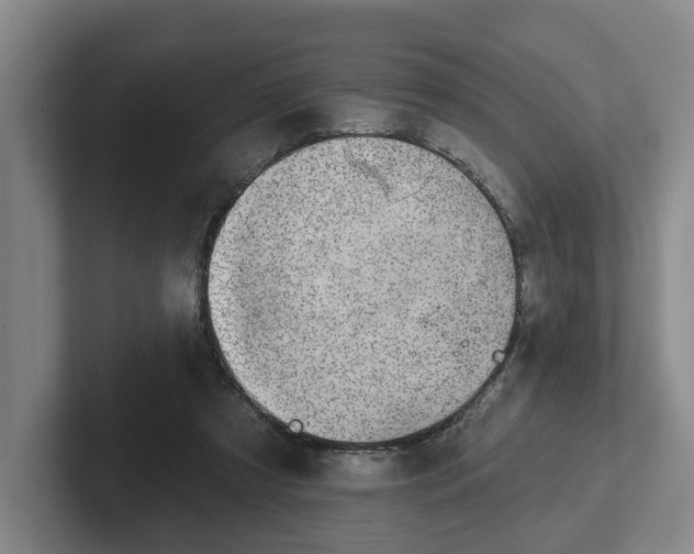 X0000102000305200807251251