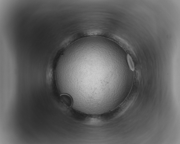 X0000102000308200807251251