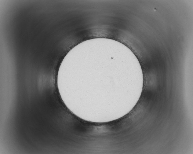 X0000102000309200807251251