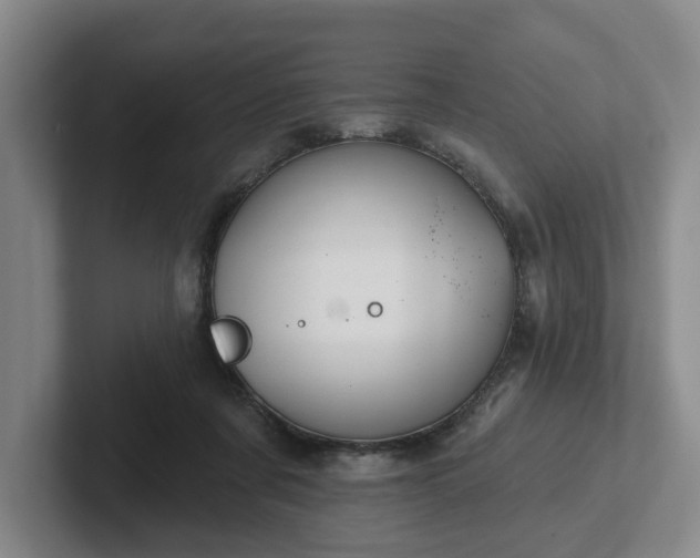 X0000102000311200807251251