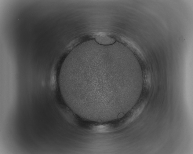 X0000102000312200807251251