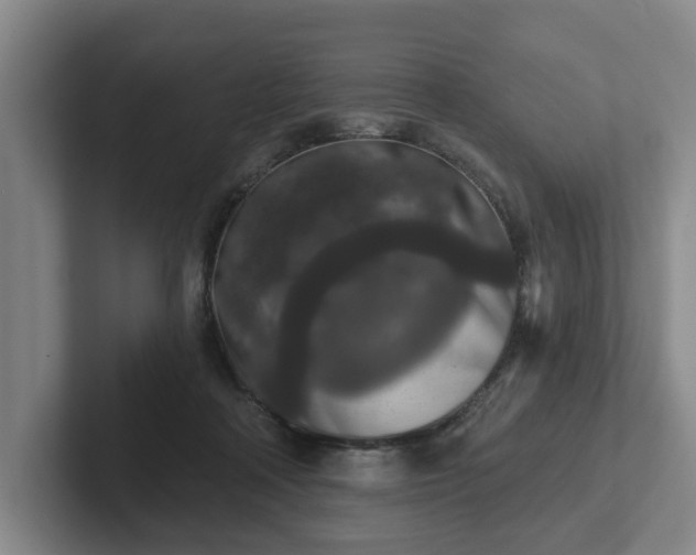 X0000102000314200807251251