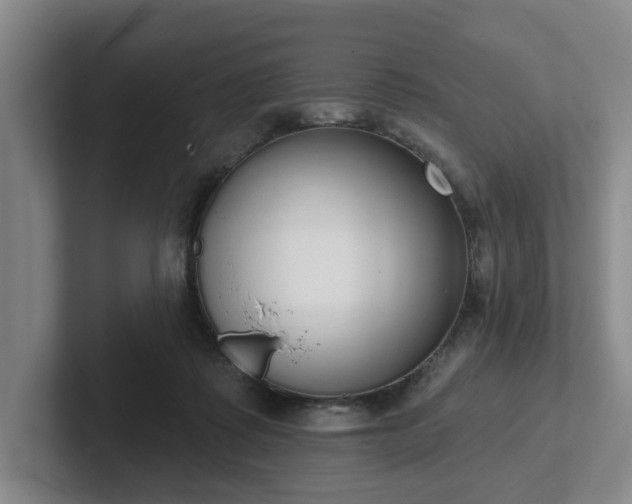 X0000102000315200807251251