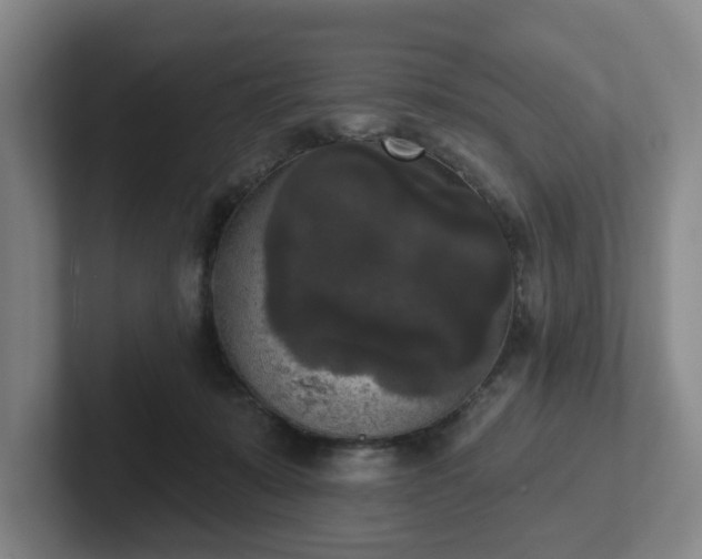 X0000102000319200807251251