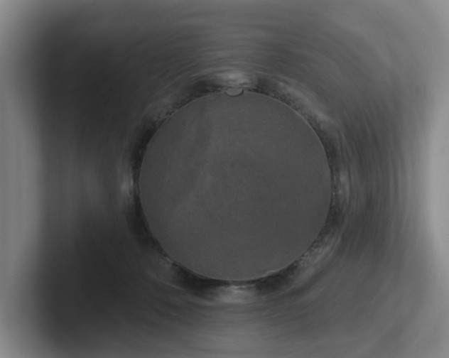 X0000102000320200807251251