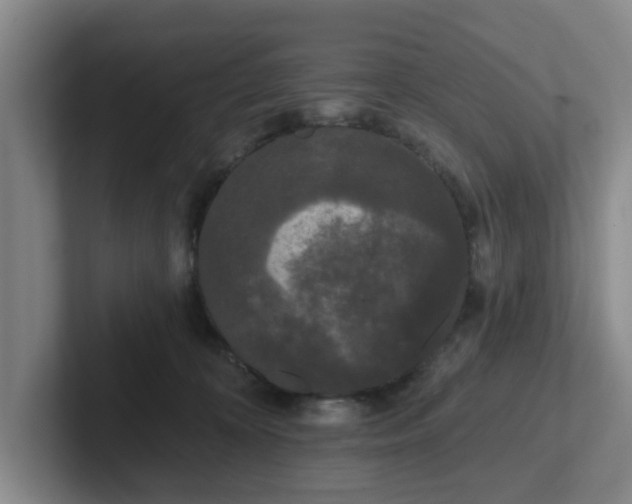 X0000102000324200807251251