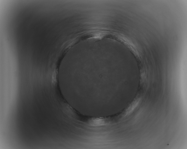 X0000102000325200807251251