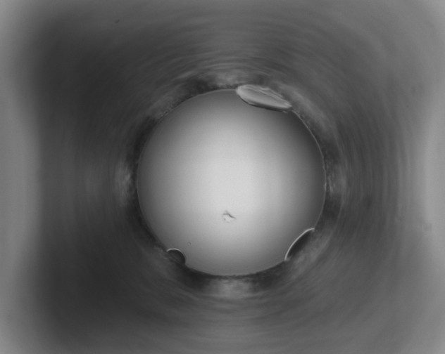 X0000102000327200807251251