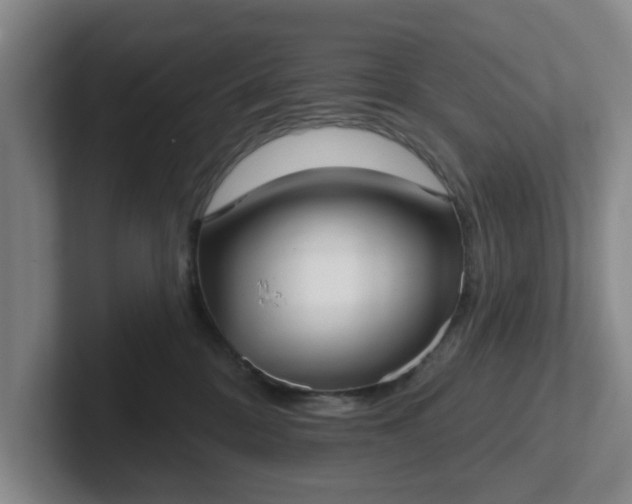 X0000102000328200807251251