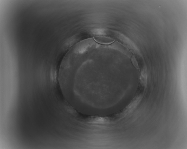 X0000102000330200807251251