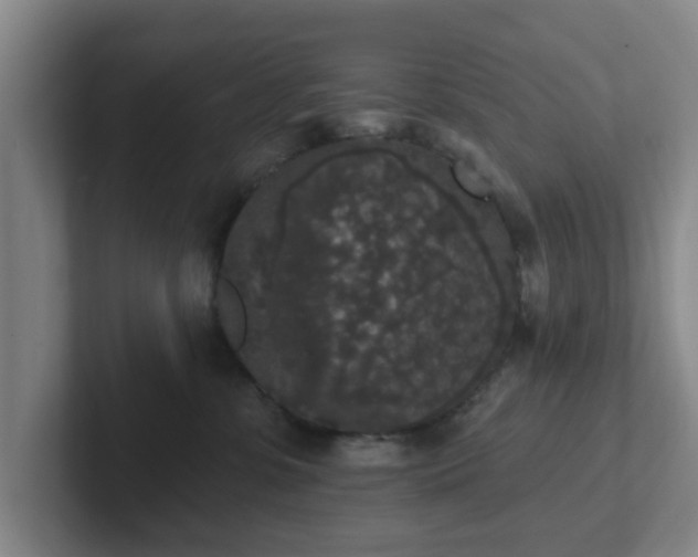 X0000102000331200807251251