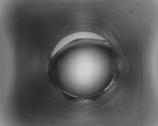 X0000102000332200807251251