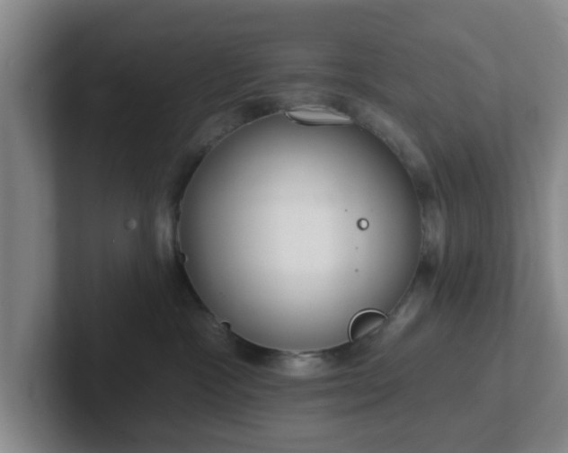 X0000102000333200807251251