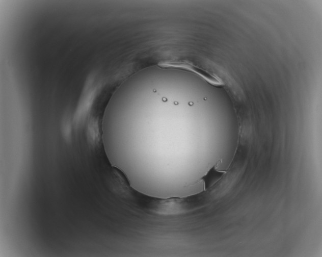 X0000102000335200807251251