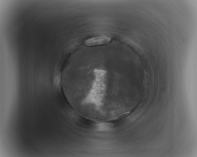 X0000102000336200807251251