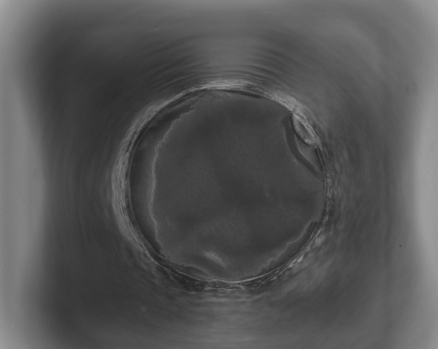 X0000102000337200807251250