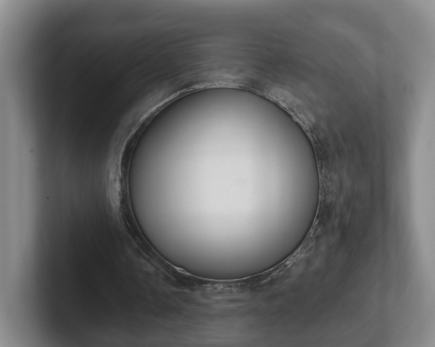 X0000102000338200807251250