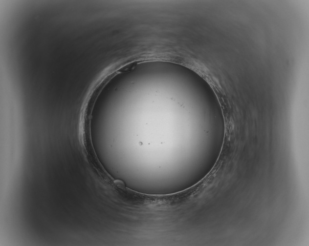 X0000102000340200807251250