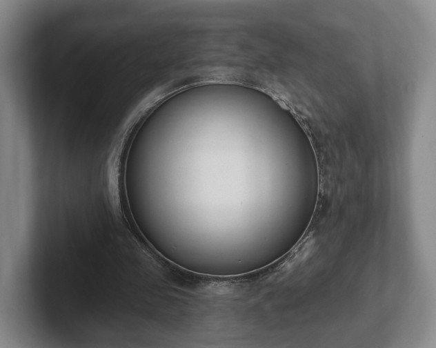 X0000102000341200807251250