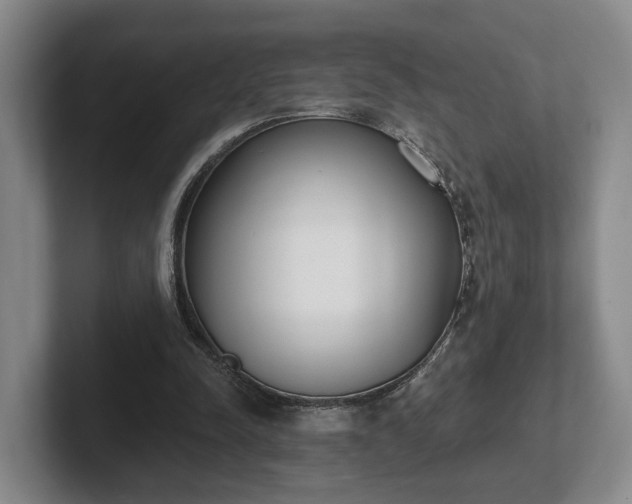 X0000102000342200807251250