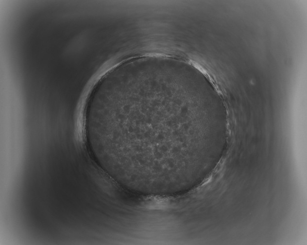 X0000102000343200807251250