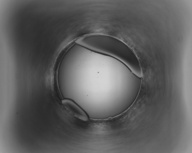 X0000102000344200807251250