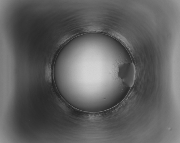 X0000102000345200807251250