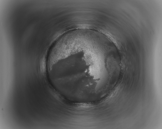 X0000102000347200807251250