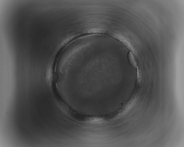 X0000102000348200807251250