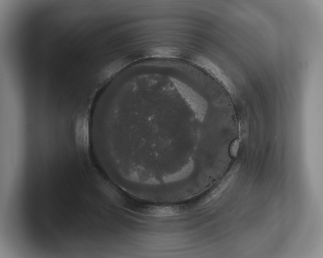 X0000102000349200807251250