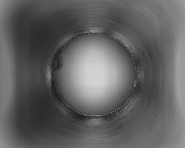 X0000102000350200807251250