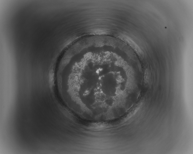 X0000102000351200807251250