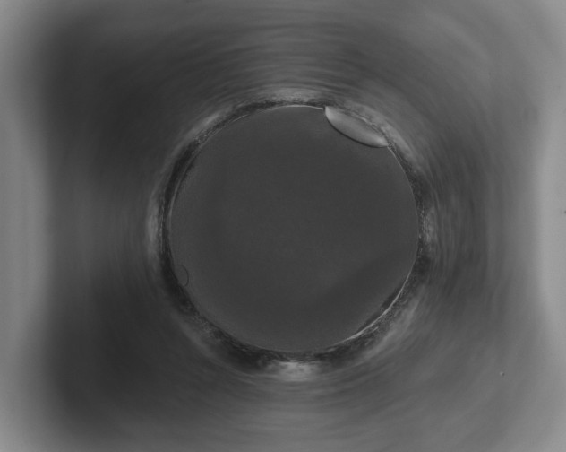 X0000102000352200807251250