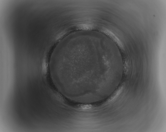 X0000102000355200807251250