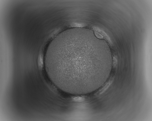 X0000102000358200807251251