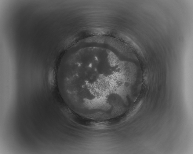 X0000102000359200807251251